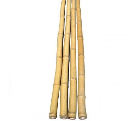 Опора бамбук 105см 8-10 мм KB105.10-12