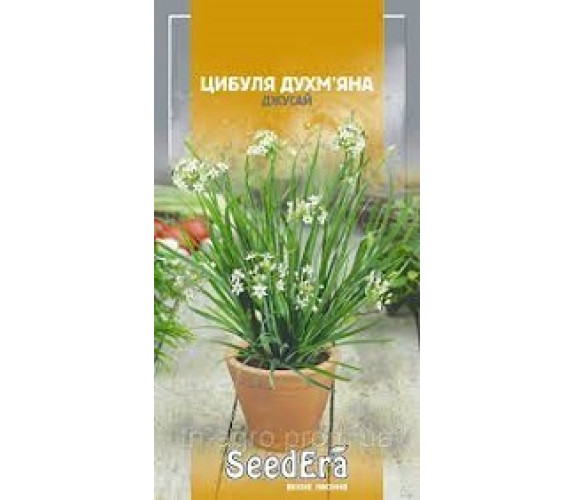 Цибуля духмяна Джусай SeedEra 0,5 г