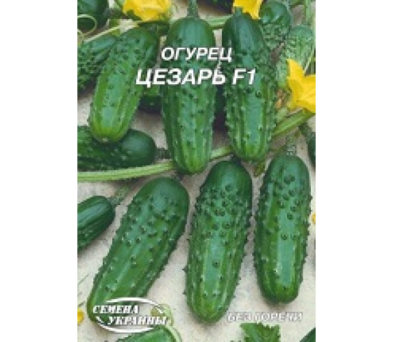 Огірок Цезар F1 Гігант 4 г Огірок Цезар F1 Гігант 4 г