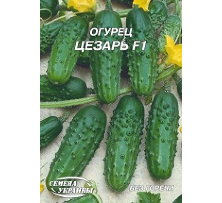 Огірок Цезар F1 Гігант 4 г