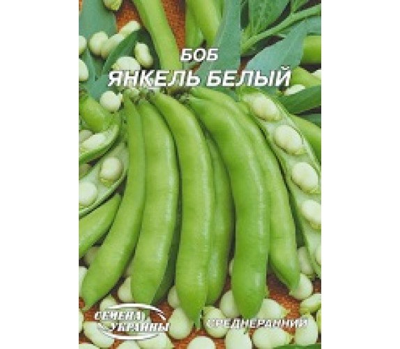 Боб Янкель білий Гігант 20 г
