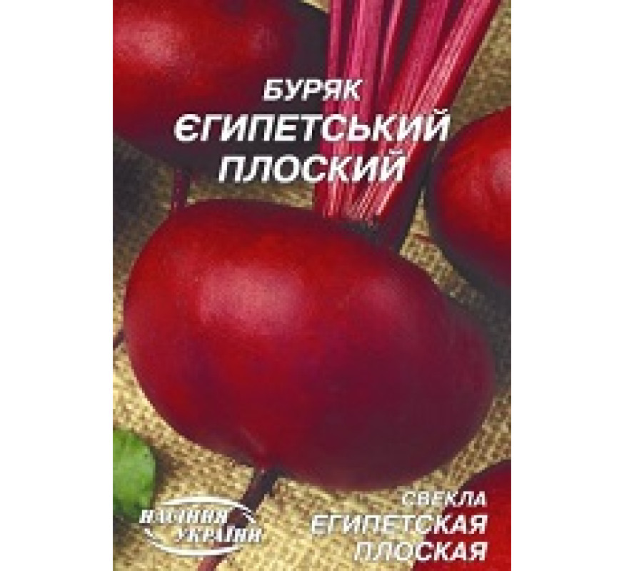 Буряк Єгипетський плоский Гігант 20 г