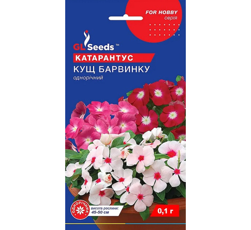 Барвинок(Катарантус) Куст Барвинк GL See