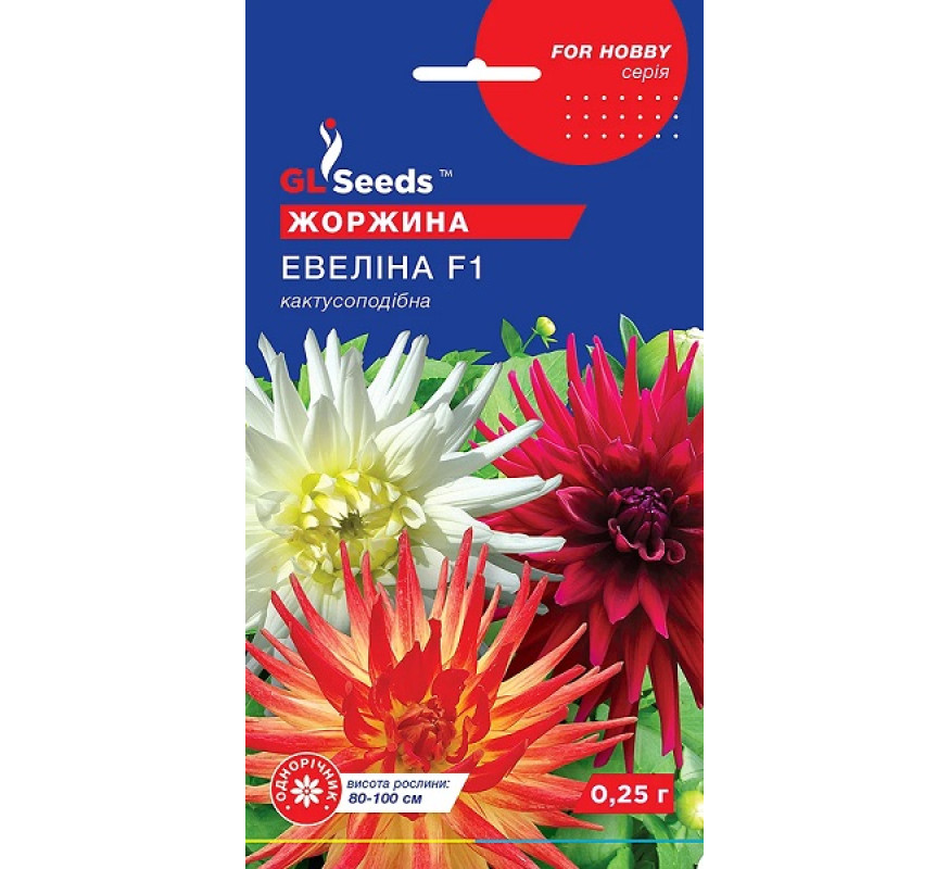 Жоржина Евеліна F1 GL Seeds 0,25 г