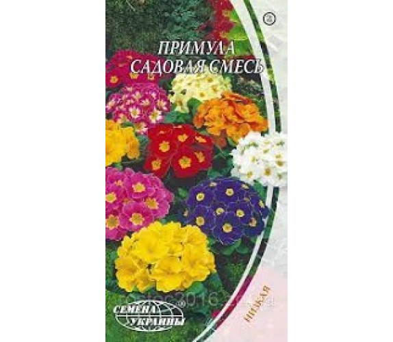 Примула садова суміш Евро 0,1 г Примула садова суміш Евро 0,1 г