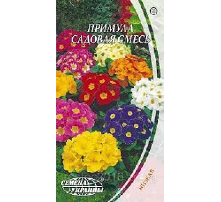 Примула садовая смесь Евро 0,1 г