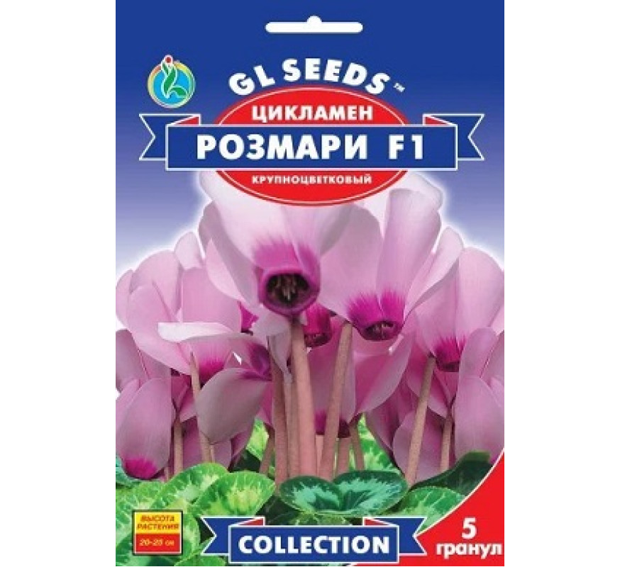 ,Квіти Цикламен Розмарі F1 великоквіт GL Seed 5 шт
