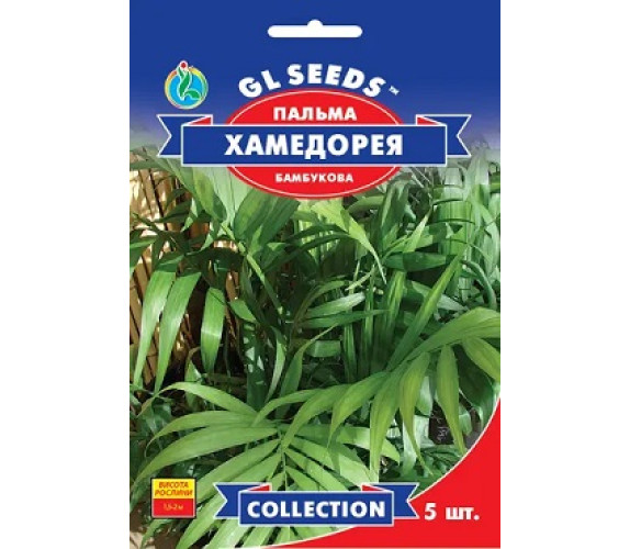 ,Квіти Пальма Хамедорея вишукана GL Seeds 5шт