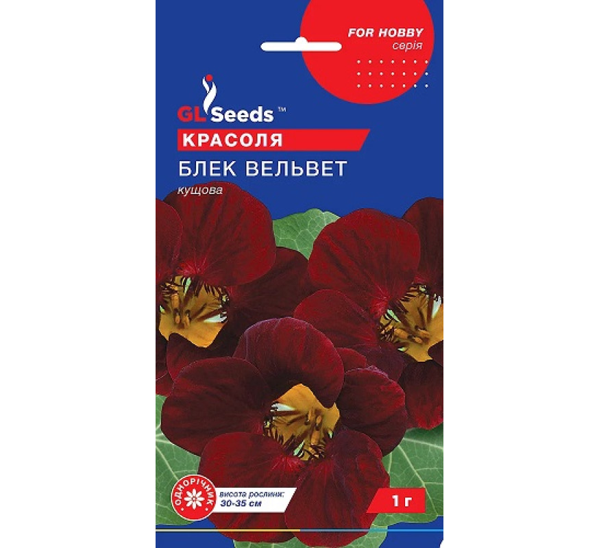 Красоля кустовая Блек Вельвет GL Seeds1г