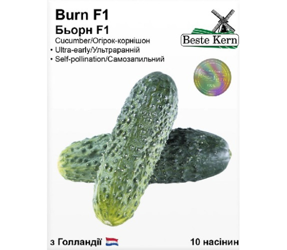 Огірок Burn F1 Beste Kern 10нас Голандія