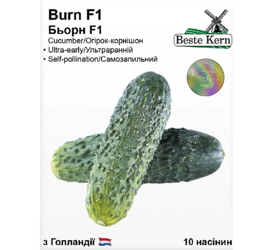 Огірок Burn F1 Beste Kern 10нас Голандія