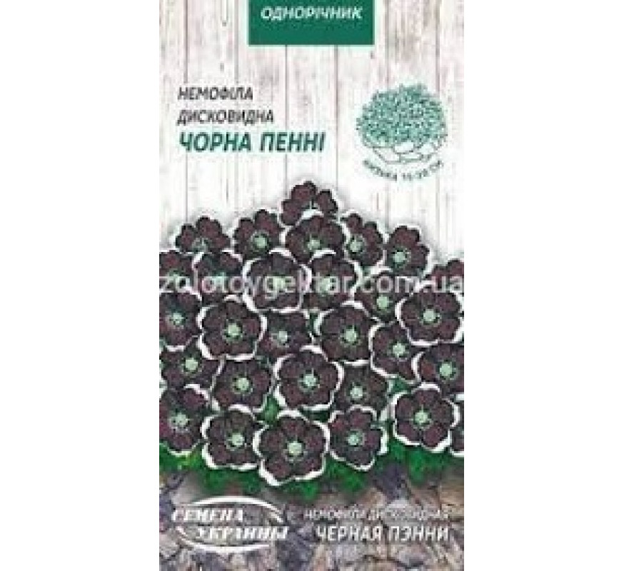 Немофіла дисковидна Чорна пенні ОД 0,3г