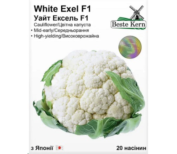 Капуста цвітна Уайт Ексель F1 Beste Kern 20нас Япо