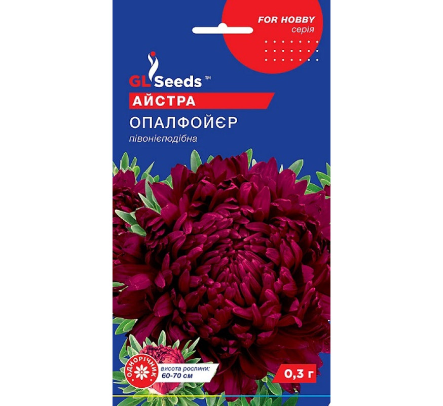 Астра Опалфойер пивониеподобный GL Seeds