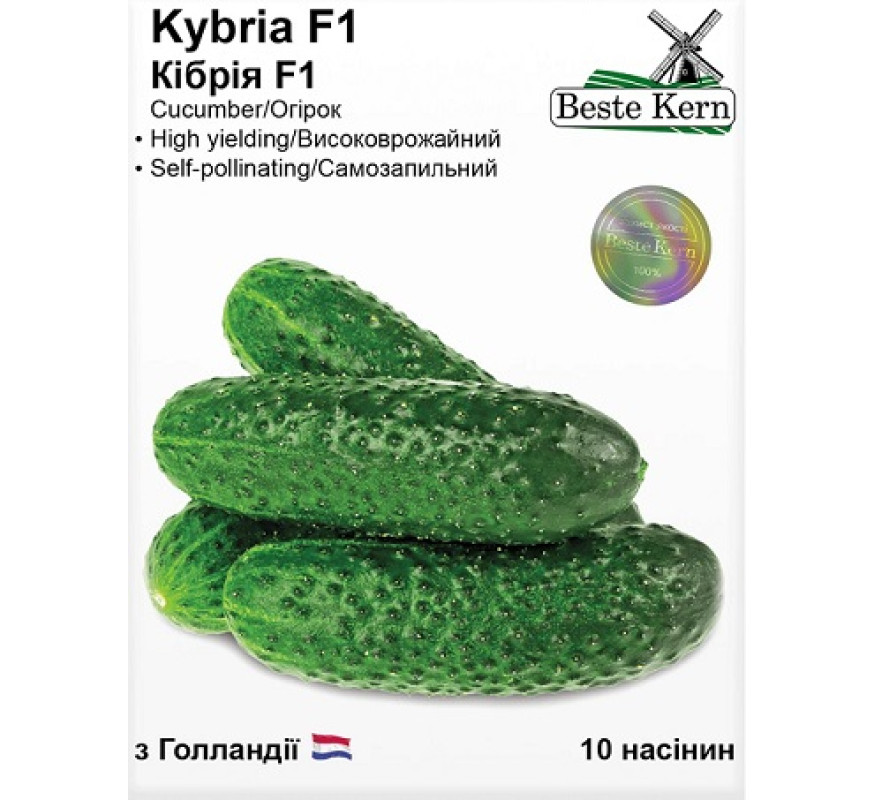 Огірок Kybria F1 Beste Kern 10нас Голандія