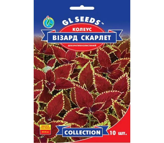 ,Квіти Колеус Візард Скарлет декорат GL Seeds 10шт