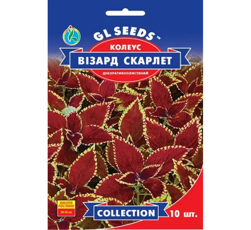 ,Квіти Колеус Візард Скарлет декорат GL Seeds 10шт