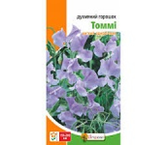 Духмяний горошок Томмі Яскрава 1 г Духмяний горошок Томмі Яскрава 1 г