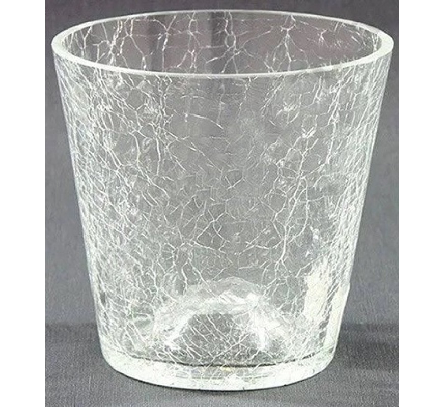 Орхідейниця скло К,14,035,11 D10cm 7199 прозора