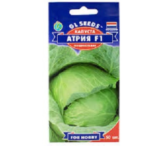 Капуста б/к Атрія F1 GLSeeds 50 штГоландія