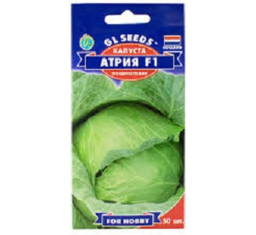 Капуста б/к Атрія F1 GLSeeds 50 штГоландія