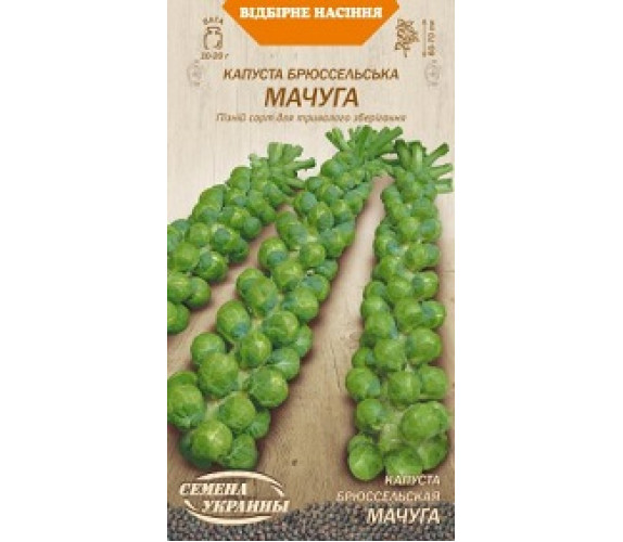 Капуста Брюсельська Мачуга ВН 0,5 г