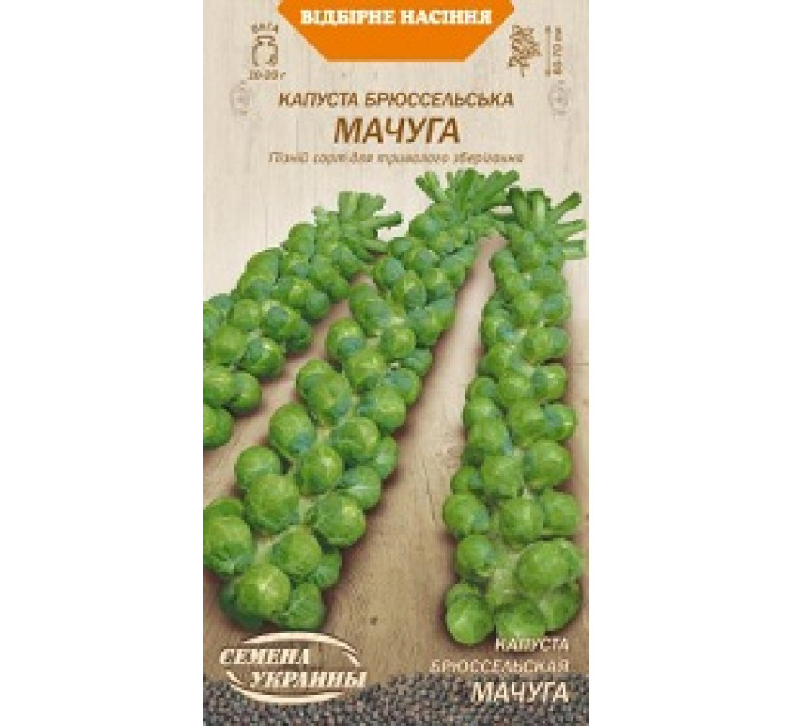 Капуста Брюсельська Мачуга ВН 0,5 г
