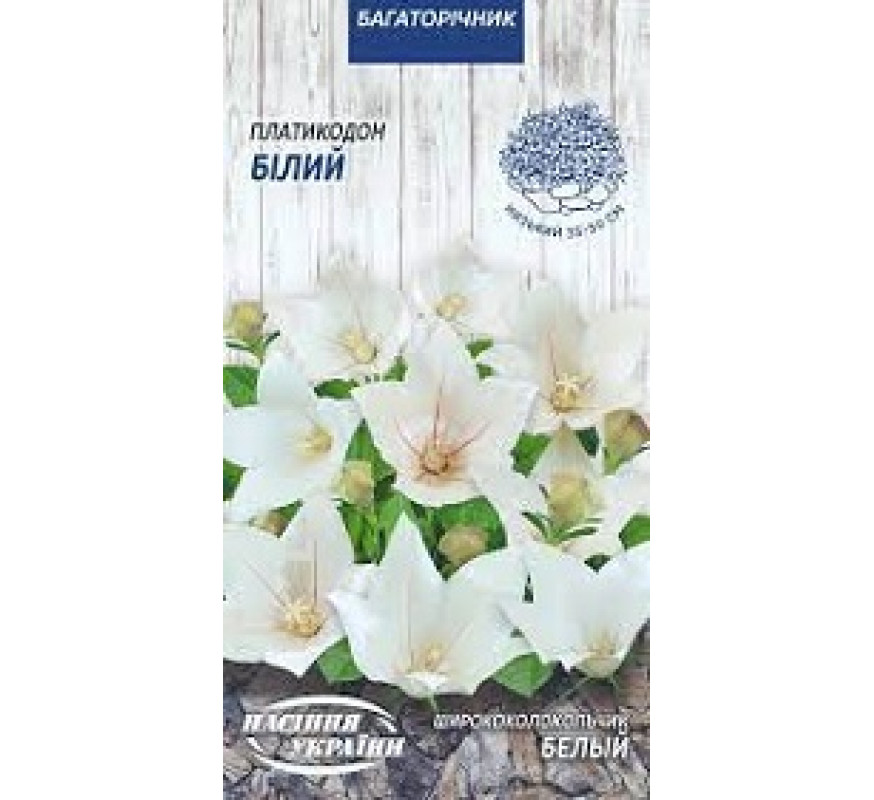Ширококолокольчик белый МН 0,05