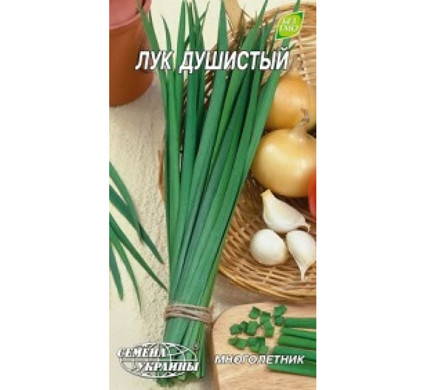 Цибуля духмяна Євро НС 0,5 г
