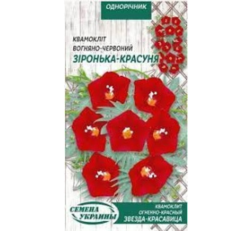 Квамокліт Зіронька-красуня ОД 0,5г