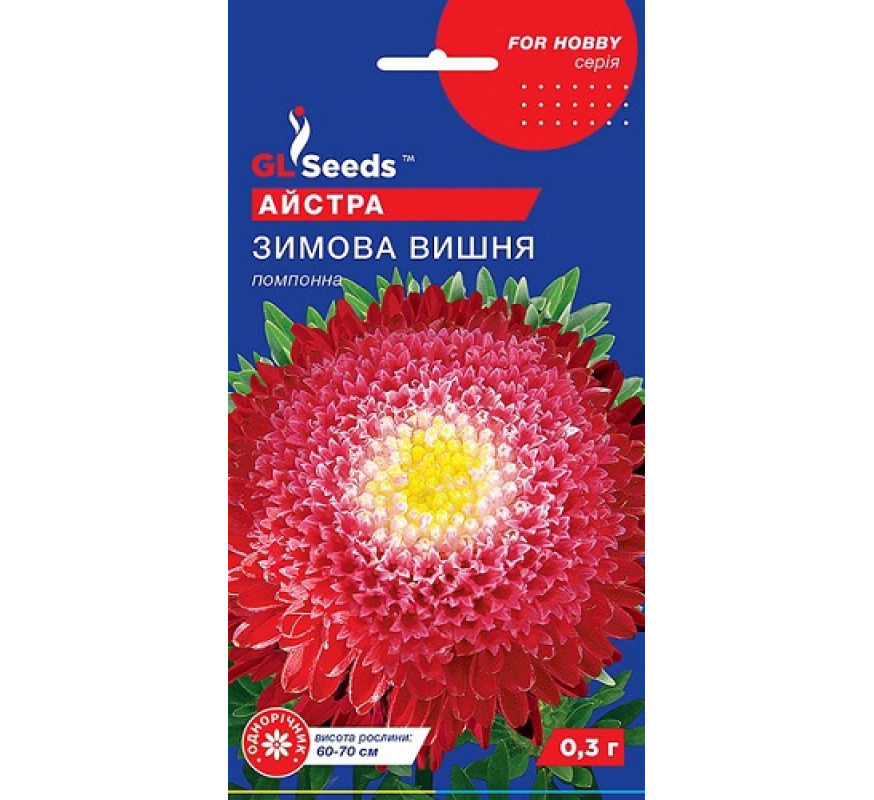 Астра Зимняя вишня помпонная GL Seeds 0,