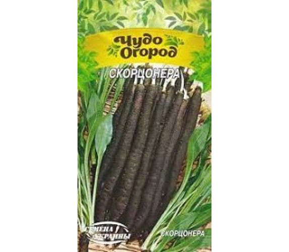 Скорцонєра Чудо 1г Скорцонєра Чудо 1г