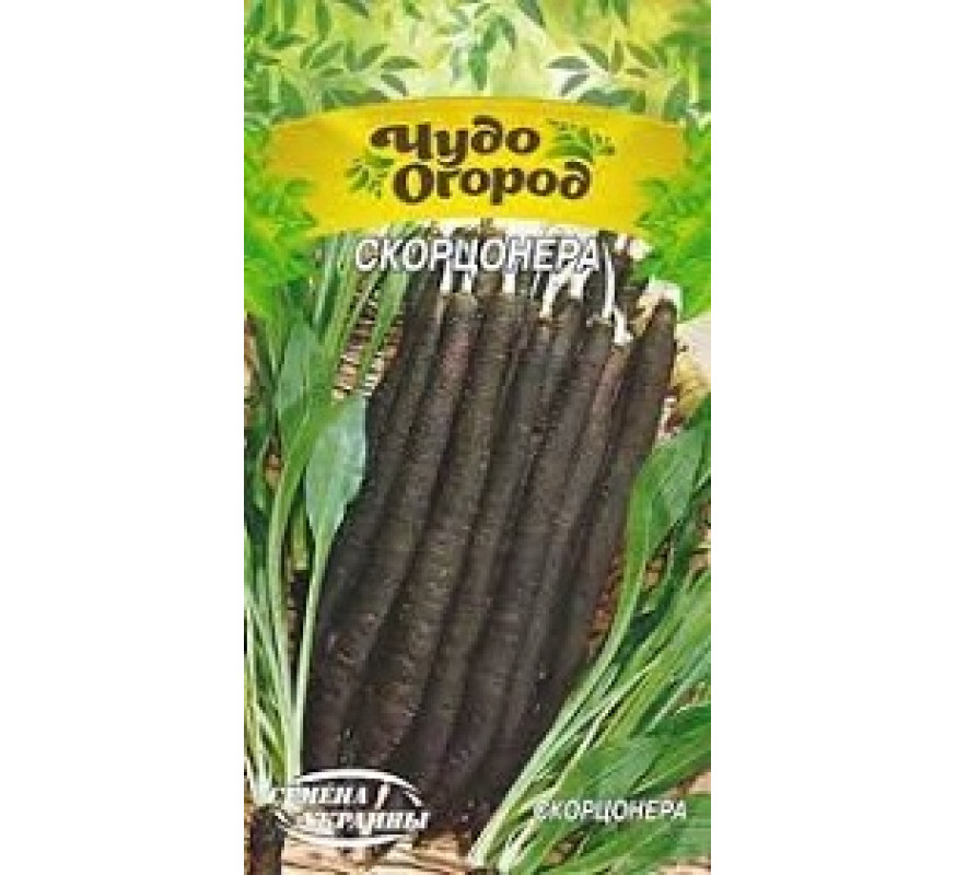Скорцонєра Чудо 1г