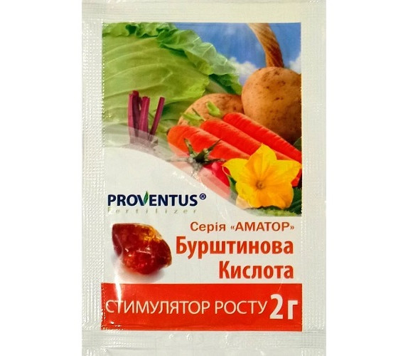 Бурштинова кислота 2 г Proventus