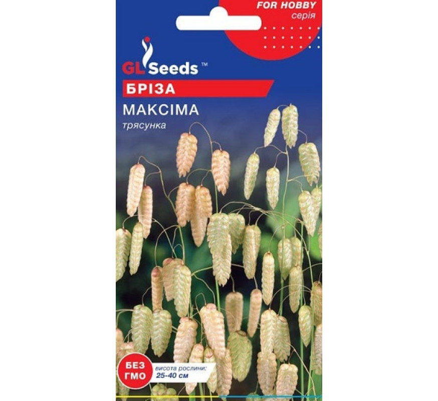 Бреза Максима трясунка GL Seeds