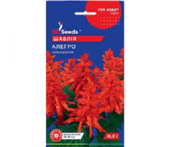 Сальвія (шавлія) Алегро GL Seeds 0,1г