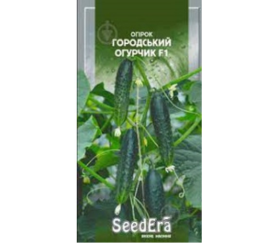 Огірок Городський огурчик F1 SeedEra 10 шт Огірок Городський огурчик F1 SeedEra 10 шт