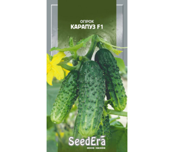 Огірок Карапуз F1 SeedEra 10шт