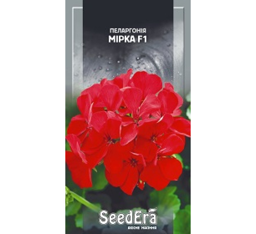 Пеларгония Мирка F1 красная SE 5 шт