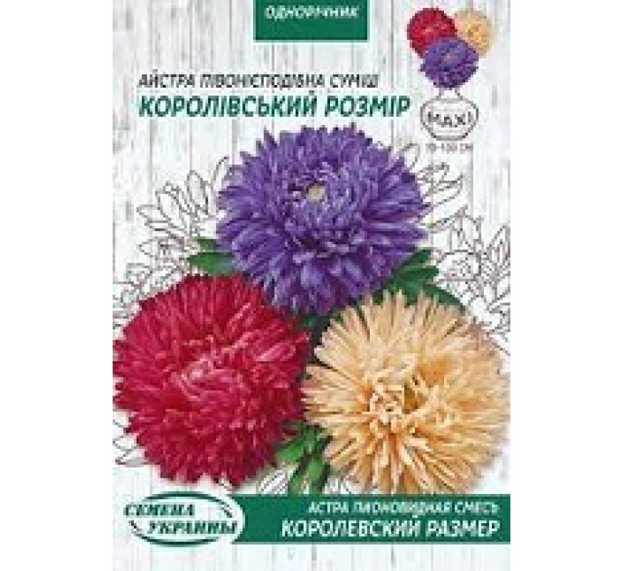 Астра пионовидная Королевський р-р смесь