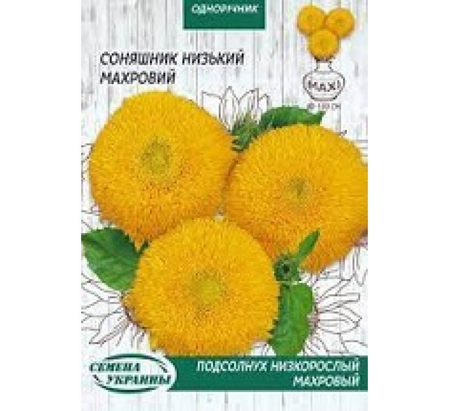 Соняшник низький Махровий Максі 10 г