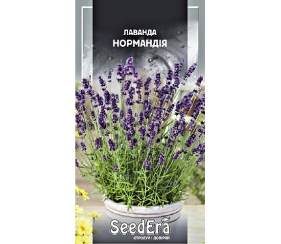 Лаванда лікарська Нормандія Seedera 0,1 г