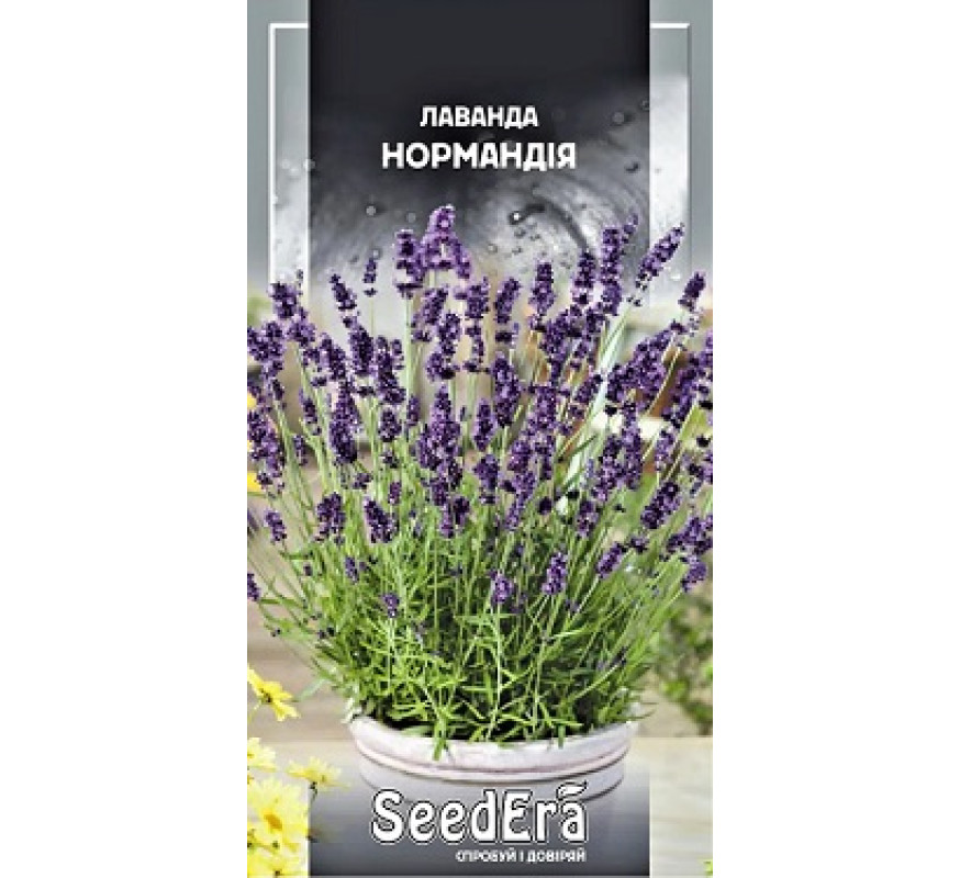Лаванда лікарська Нормандія Seedera 0,1 г