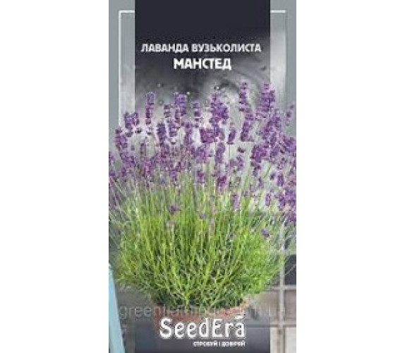 Лаванда вузьколиста Манстед Seedera 0,1 г