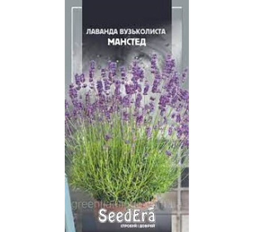 Лаванда вузьколиста Манстед Seedera 0,1 г