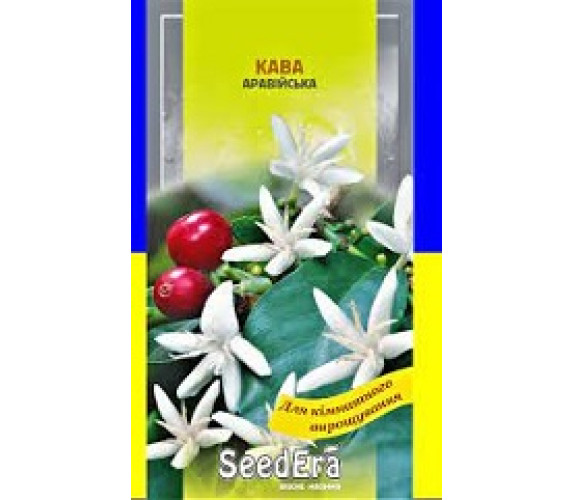 ,Квіти Кава Аравійсьа Seedera 10 шт