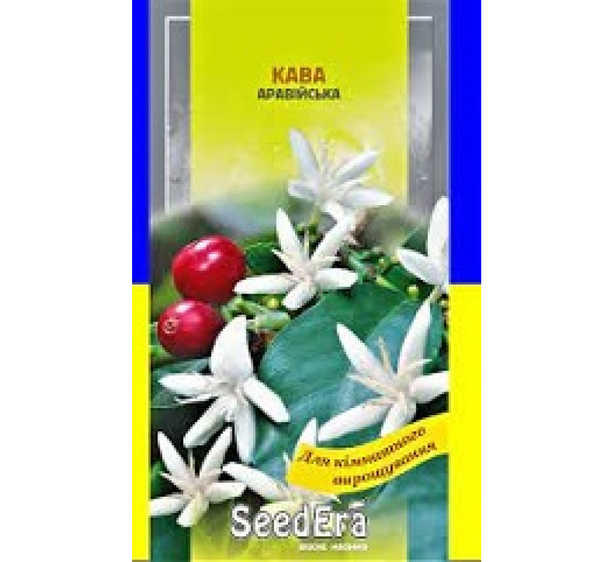 ,Квіти Кава Аравійсьа Seedera 10 шт