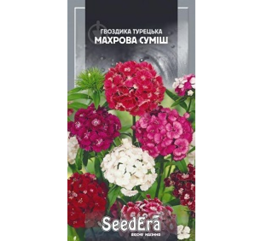Гвоздика Турецька махрова суміш Seedera 5 г