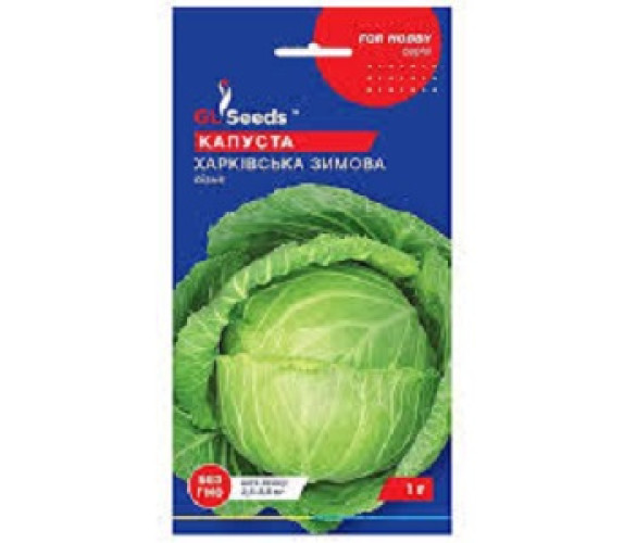 Капуста б/к Харківська зимова GL Seeds 1 г.