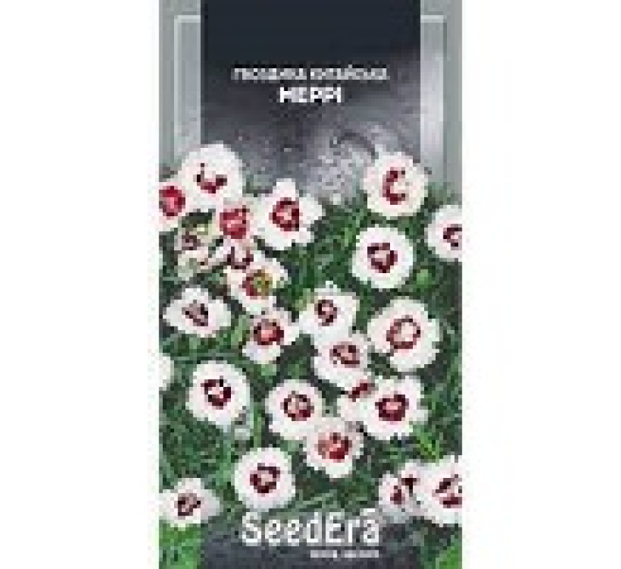 Гвоздика Китайска Меррі SE 0,2 г